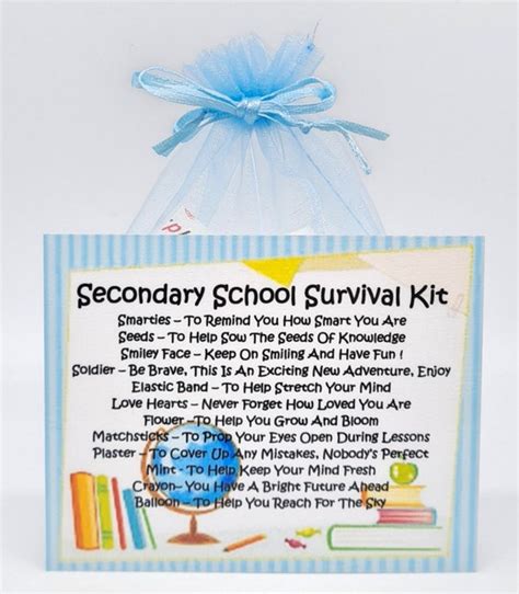 Secondary School Survival Kit Fun Novelty T Card Etsy Uk