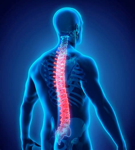 What Is Chiropractic Neil Folker Of Norwich Spinal Health Explains