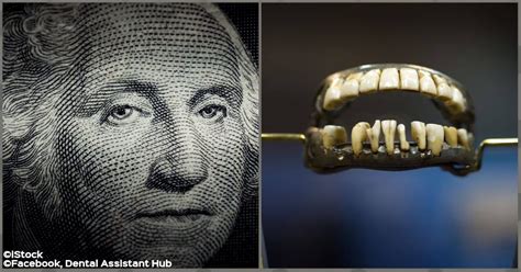 By the time washington became president, only one of his teeth remained, and he was given a pair of dentures carved from hippopotamus ivory with. What George Washington's Teeth Were Actually Made Of