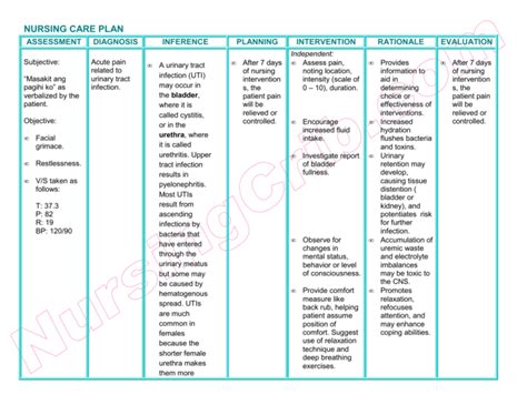 Nursing Care Plan Assessment Diagnosis Inference Planning Intervention