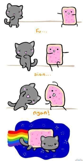 Nyan Catmemespoptartfoodmealcatfunny