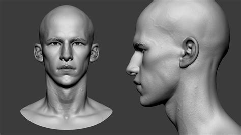 Artstation Male Head Resources