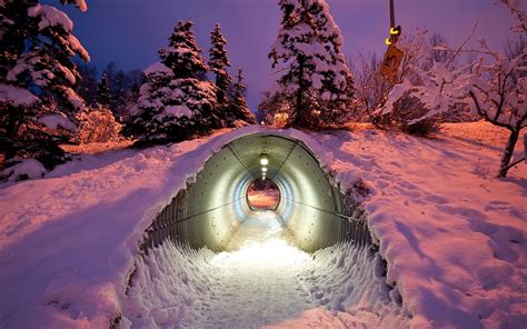 Beautiful Underground Snow Tunnel Tree Desktop Wallpaper Winter