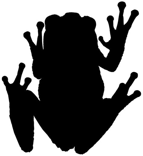 Frog Silhouette Images At Getdrawings Free Download