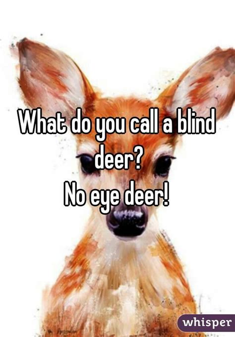 What Do You Call A Blind Deer No Eye Deer