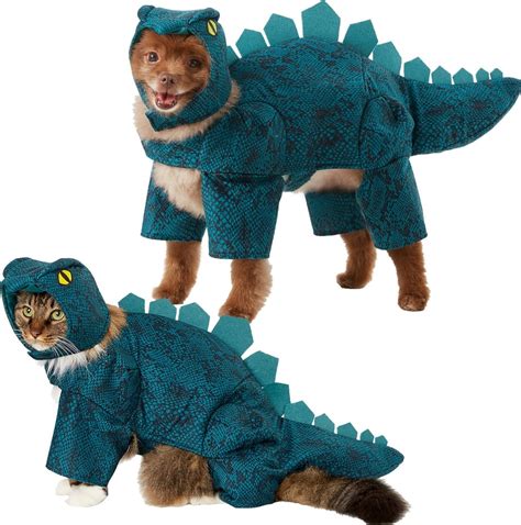 While a corgi is not a high maintenance dog as far as grooming goes, they do have a. Frisco Stegosaurus Dinosaur Dog & Cat Costume | Corgi ...