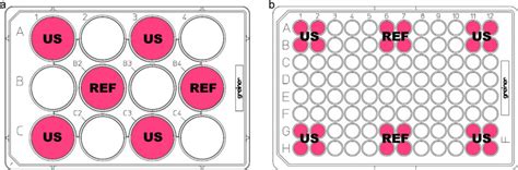 Arrangement Of The Filled Wells A 12 Well Cell Culture Plate B 96 Download Scientific