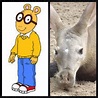 Arthur is an aardvark | Real life, Cartoon, Aardvark