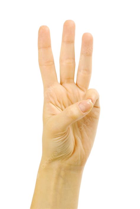 Tanda Tiga Jari Tangan Kanan Depan, Simbol, Ke Atas, Tubuh PNG