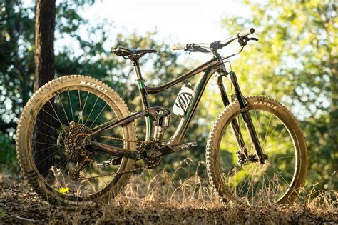 2020 Giant Reign 29er The Do It All Trail Bike — Bicycle Warehouse