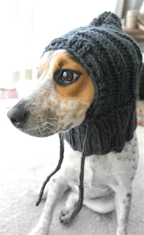 123 Best Knitted Dog Hats Images On Pinterest Crochet