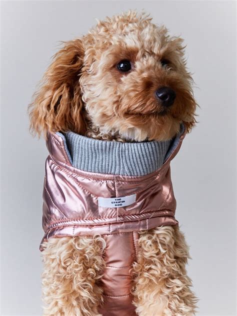 London Turtleneck Jacket Dog Clothing Dog Clothes Dog Etsy