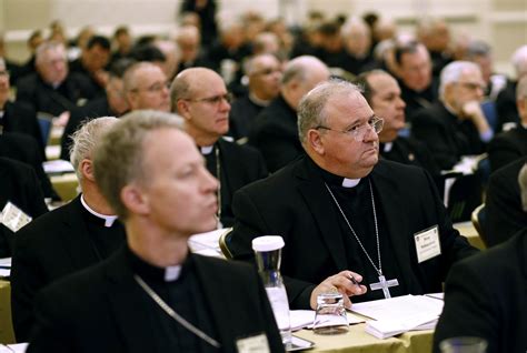 u s catholic leaders signal resistance to pope s agenda wsj