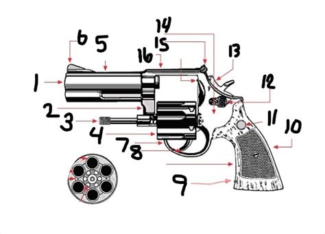 Parts Of A Revolver Diagram Quizlet