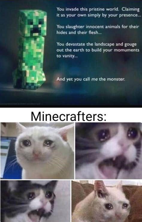 Cringey Posts That Are Supposed To Be Super Deep Minecraft Funny