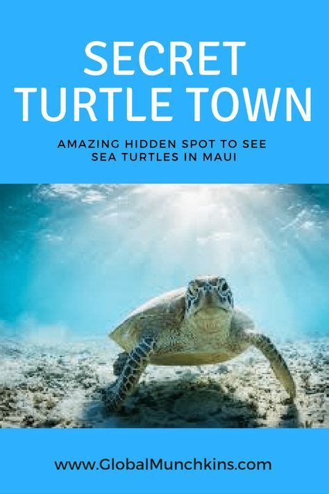 Secret Spot To See Sea Turtles Turtle Town Maui Trip To Maui Hawaii