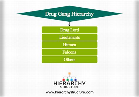 Drug Gang Hierarchy Chart