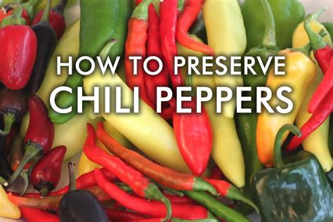 How To Preserve Chili Peppers Stuffed Peppers Hot Sauce Recipes