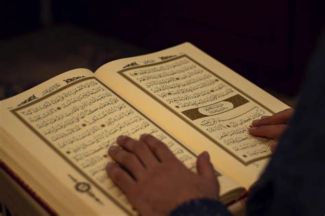 The Importance And Benefits Of Surah Baqarah Quranhost