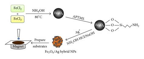 Schematic Illustration Of Major Steps For Synthesis Of Fe3o4ag Hybrid Download Scientific