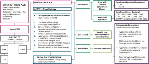 Tma Evaluation Schema For Patients With Clinical Diagnosis Of Hlh