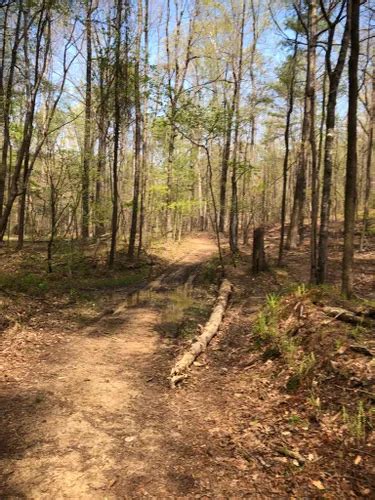 10 Best Short Trails In Oak Mountain State Park Alltrails