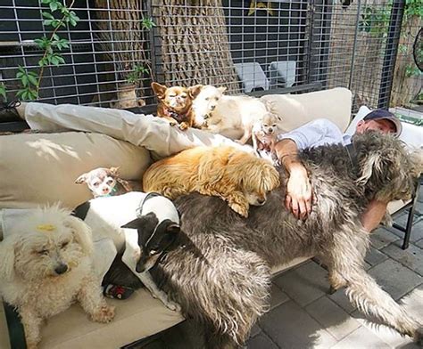 Man Devotes His Life To Adopting Old Dogs Who Cant Find Forever Homes
