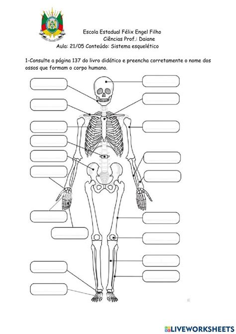 Ossos Do Esqueleto Humano Worksheet