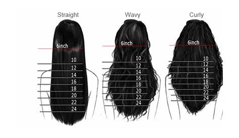 hair length chart inches male