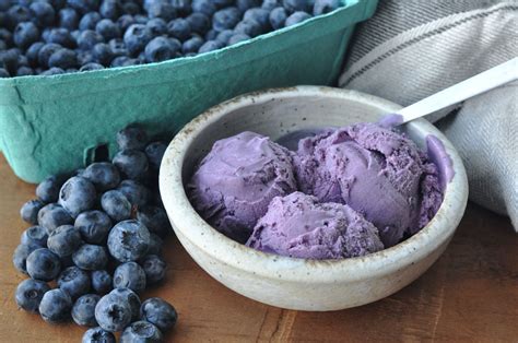 If a person eats half a cup, approximately the amount in th. Fresh Creamy Homemade Blueberry Ice Cream Recipe • visual ...