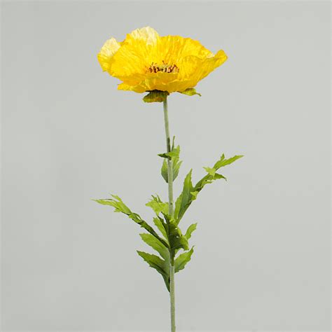 27 Poppy Flower Stem Yellow 210331