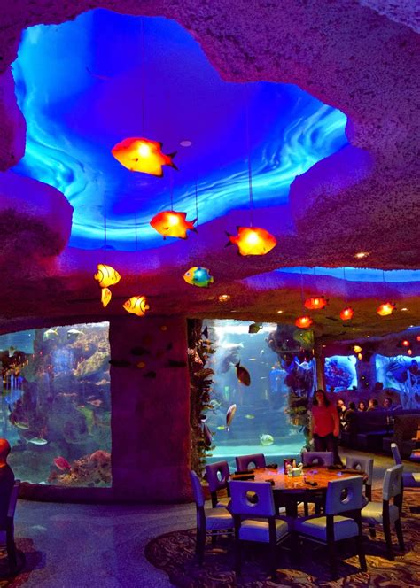 Aquarium An Underwater Dining Adventure In Nashville The Small Things