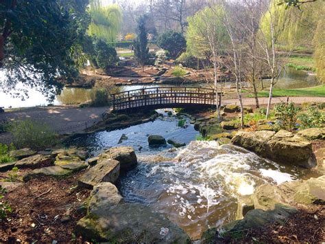 Regents Park London Japanese Garden Bridge Japenese Garden Japanese