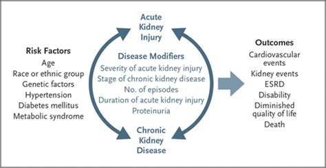 Acute Kidney Injury And Chronic Kidney Disease As Interconnected