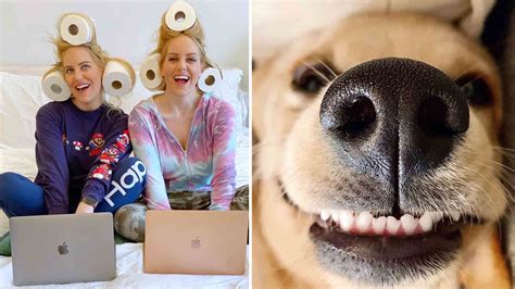 15 Of The Most Entertaining Instagram Accounts To Follow Right Now