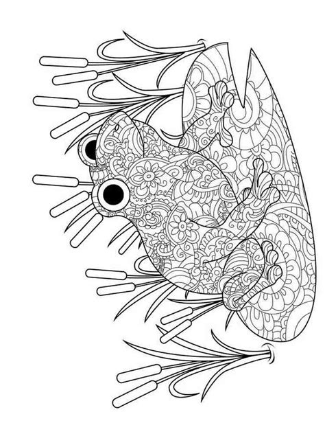 Zentangle Frog Coloring Pages Coloring Pages