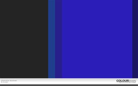 On The Creative Market Blog 20 Klein Blue Color Palettes To Try This