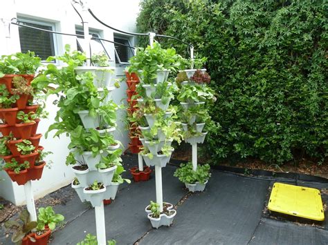 12 Tips To Help You Get Relevant Information About Hydroponic Gardening