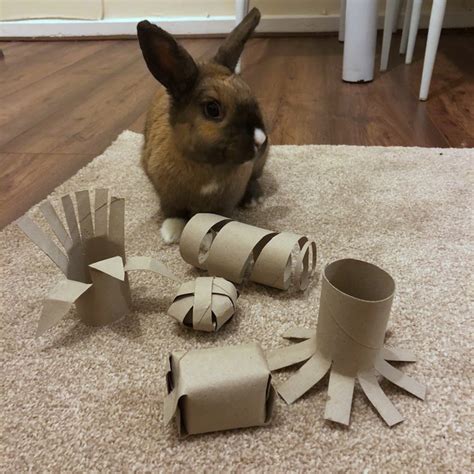 8 paper tube rabbit diy toys rabbit savvity