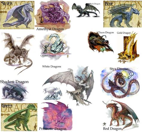 Dragon Classification Examples By Black Dragon Club On Deviantart