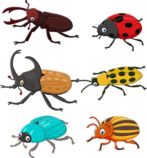 Cartoon Funny Beetle Collection Vector Premium Download