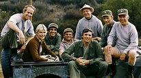 Remembering The M*A*S*H Cast Then And Now!
