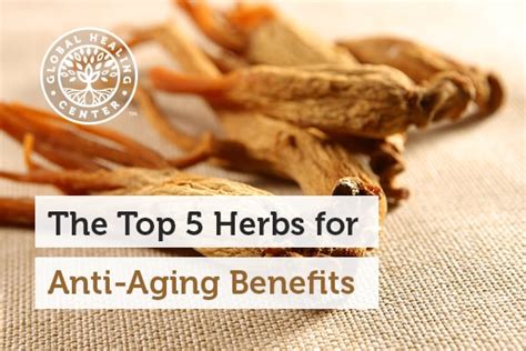 The Top 5 Herbs For Anti Aging Benefits
