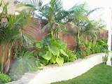 Pictures of Tropical Backyard Landscaping Ideas Pictures