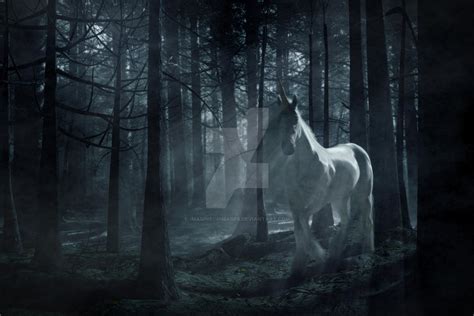 Unicorn In The Forest By Imaginecgimages On Deviantart