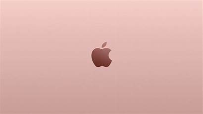 Gold Apple Pink Rose Desktop Illustration Minimal