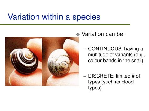 Ppt Evolution And Natural Selection Powerpoint Presentation Free