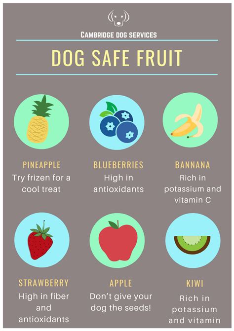 Dog Safe Fruits
