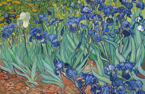 Van gogh art prints set 1: Irises by Van Gogh Wall Mural | Murals Wallpaper