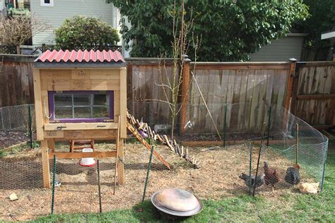 Tips & tricks for raising chickens, building chicken coops, & choosing chicken breeds + ask questions in our community forum. Raising Backyard Chickens for Dummies | Modern Farmer